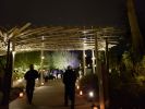 PICTURES/Desert Botanical Garden Electric Desert Exhibit/t_20181210_204910.jpg